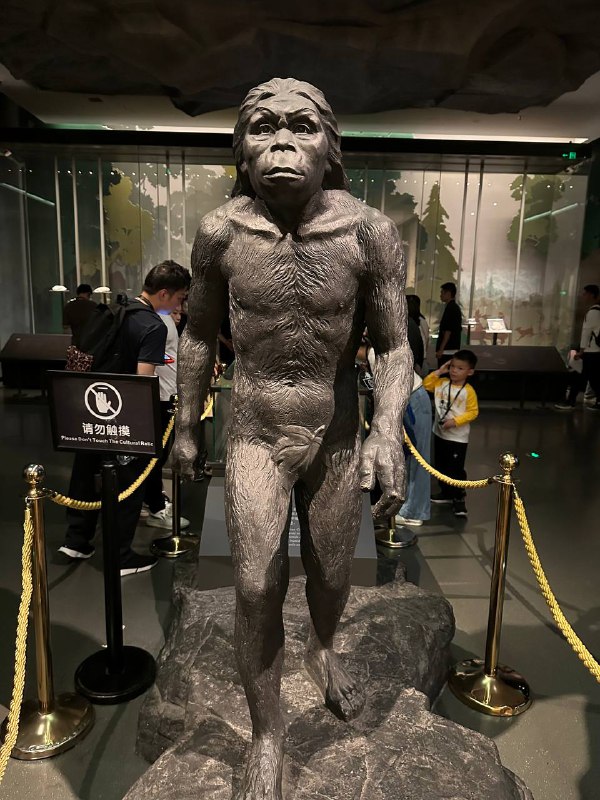 D3 上 陕西历史博物馆超多导游,甚至还有很多一排排的学生在这里上课背书拍的最多的竟然是别人的课程作业这个博物馆还挺难约的,约了很多天才能约得上,听说本地人天天抢都很难抢#真西安旅游D3 上 陕西历史博物馆超多导游,甚至还有很多一排排的学生在这里上课背书拍的最多的竟然是别人的课程作业这个博物馆还挺难约的,约了很多天才能约得上,听说本地人天天抢都很难抢#真西安旅游