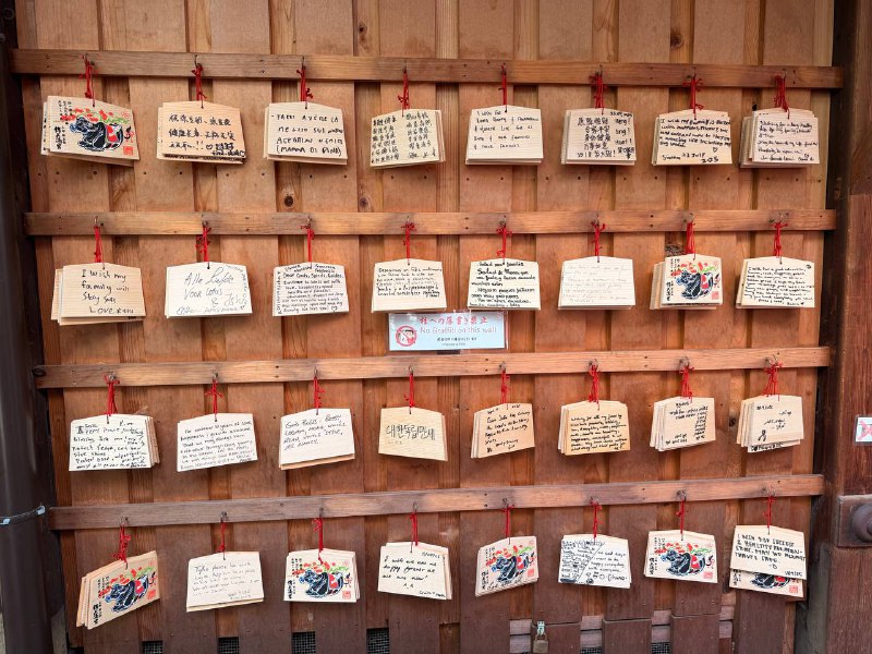 D3 锦市场 - 新京极 - 八坂神社这天让 Gemini 特地优化了一下行程后,节奏好了不少(而且总算是可以 11 点再出发了)
