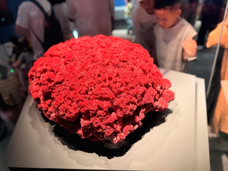 中秋假期8/10 昨天去了一下深圳自然博物馆,简单拍了几张矿物图