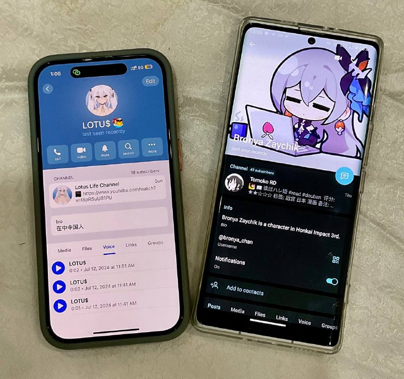 约球 战绩 1:N 😌约球 战绩 1:N 😌